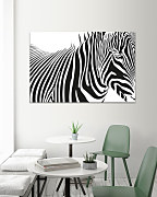 Čiernobiely obraz Zebra 1773